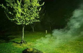 Iğdır’da çiftçiler meyve ağaçlarını dumanlama...