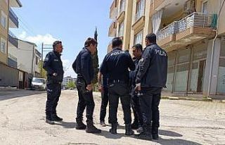 İki grup arasında kavga