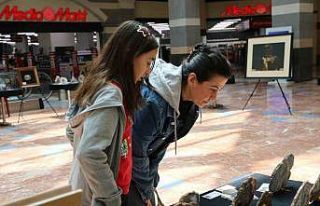 "İl İl Türkiye Sergisi" Diyarbakır’da...