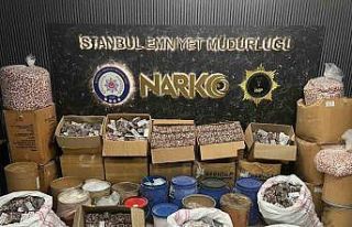 İstanbul’da uyuşturucu operasyonunda 2 gözaltı