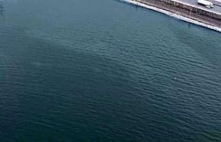 İzmir Körfezi’nde kirlilik alarmı: Aynı tehdit...