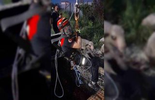 İzmir’de kuyuya düşen kuzuya itfaiyeden nefes...