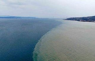 İzmit Körfezi iki renk oldu: Derenin taşıdığı...