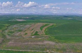 Jandarma eşliğinde ektiği 250 dönüm tarla iddiaya...