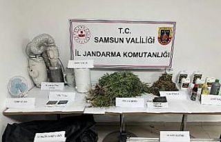 Jandarmadan evde kenevir operasyonu