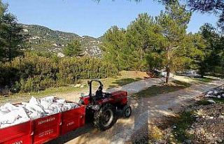 Kaçak döküm yapanlar fotokapandan kaçamadı