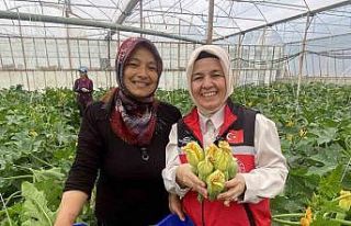 Kadın çiftçi hem üretiyor hem ihraç ediyor hem...