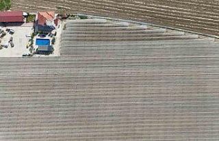 Kadın girişimciden tarımda akılcı çözüm