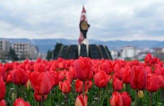 Kahramanmaraş’ta kavşaklarda görsel şölen