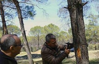 Kahramanmaraş’ta orman zararlılarına karşı...