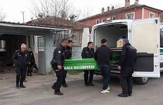 Kan donduran cinayet: İki kardeş bir oldu, babalarını...