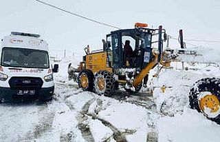 Kar doğuyu esir aldı