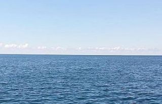 Karadeniz Ereğli’de sahilde ölü yunus bulundu