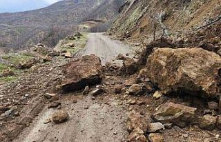 Karakoçan’da toprak kayması