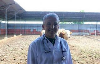 Karanfil "Veteriner hekim çiftlikten sofraya...