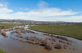 Kars Çayı taştı: Ağaçlar sular altında kaldı