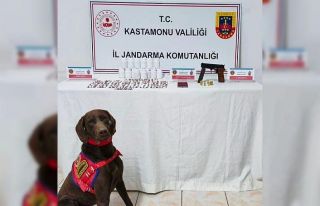 Kastamonu’da uyuşturucu operasyonu: 1 tutuklama