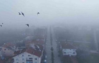 Kastamonu’da yoğun sis