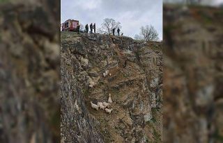 Kayalıklardaki sürüye cansiparane kurtarma
