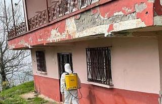 Kaynaşlı ve Yığılca’da Kahverengi Kokarcayla...