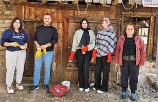 Kemaliye’de ahşap mimarinin korunması için akademik...