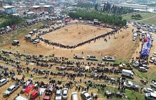 Kemalpaşa’da 3. Boğa Güreşi Festivali heyecanı