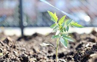 Kendi kompost gübresini üreten belediyeden "ata...