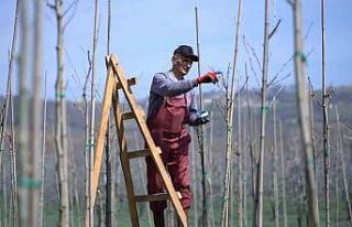 Kestel’de bahar mesaisi