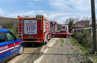 Kestiği ağaç canına mal oluyordu: Ağır yaralandı
