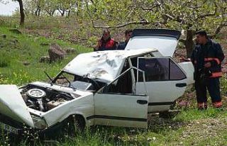 Kilis’te kontrolden çıkan Tofaş fıstık tarlasına...