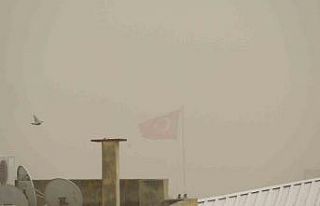 Kilis’te toz taşınımı hayatı olumsuz etkiliyor