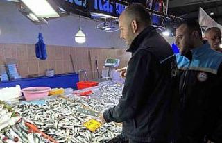 Kırklareli’nde balık tezgahları mercek altında