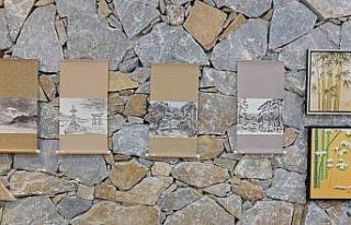 Kırşehir’de Sakura Festivali ve Plastik Sanatlar...