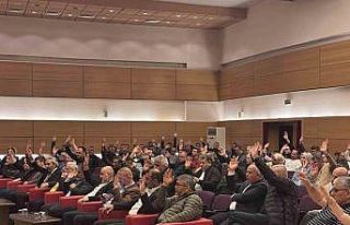 Kooperatif Başkanı Kösedağ: "323 dönümlük...