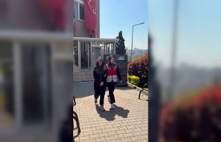 Köpeği camdan sarkıttı, o anları kayda aldı