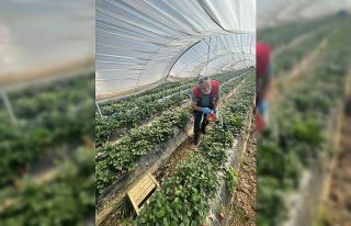 Köşk’ten Sultanhisar’a çapraz denetim