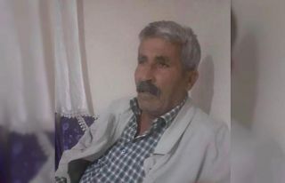 Kovalamaca sonucu yola çıkan inek, sahibini canından...