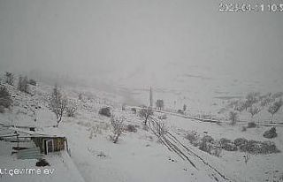 Köye inen kurt sürüsü kameraya yansıdı