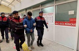 Kulübedeki baltalı ve kazmalı cinayette iki kuzene...