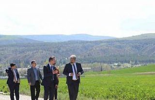 KUZKA desteğiyle hayvancılıkta eğitimli insan...