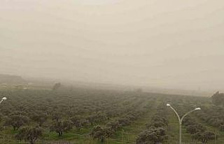 Libya kaynaklı toz taşınımı Osmaniye’de etkili...