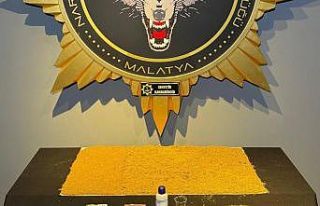 Malatya’da torbacı operasyonu: 1 gözaltı
