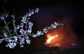Manisa’da zirai don nöbeti