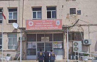 Mardin’de 50 yıl cezası bulunan 2 firari yakalandı