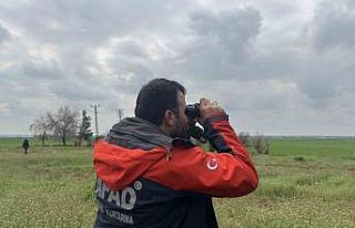 Mardin’de kayıp yaşlı kadını arama çalışmaları...
