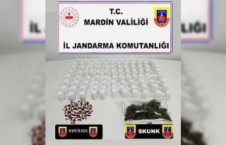 Mardin’de uyuşturucu operasyonu: 1 tutuklama