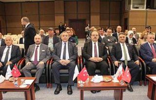 Memecik Zeytinyağı dünya markası olacak