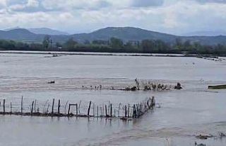 Meriç Nehri taştı, sular yollara ulaştı