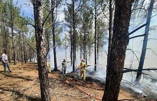 Mersin’de orman yangınlarına karşı tatbikat...