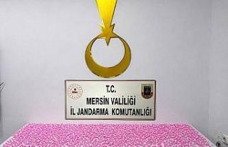 Mersin’de uyuşturucu haplarla yakalanan 2 şüpheli...